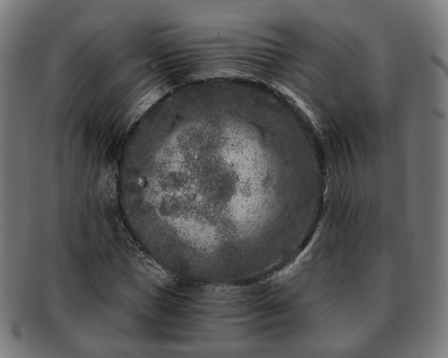 X0000091900921200709121456