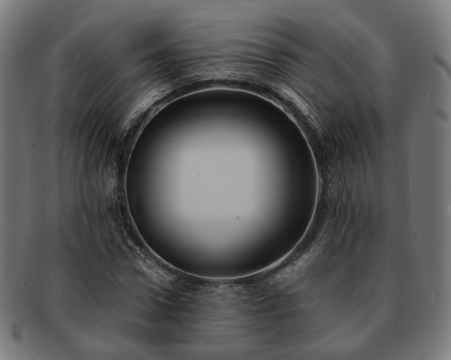 X0000091900922200709121456