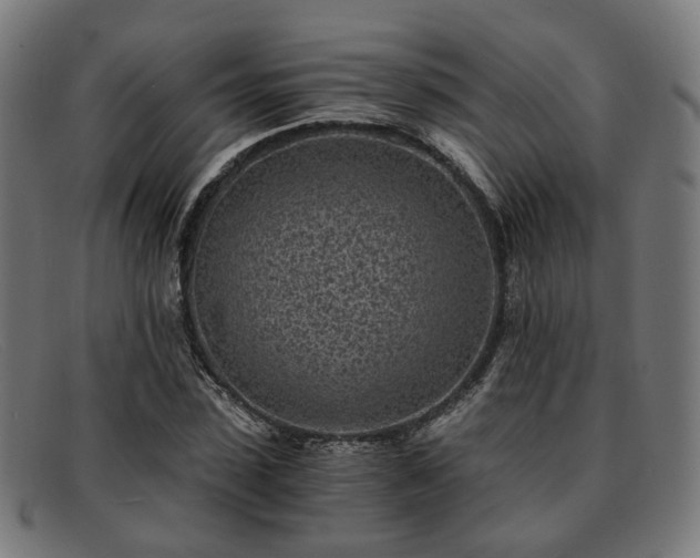 X0000091900923200709121456