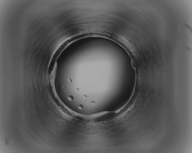 X0000091900924200709121456