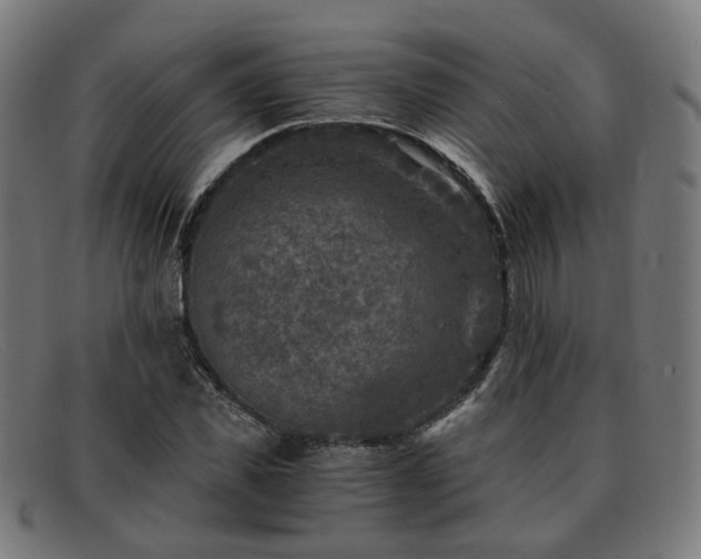 X0000091900925200709121456