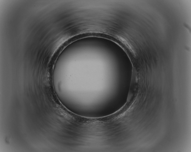 X0000091900926200709121456