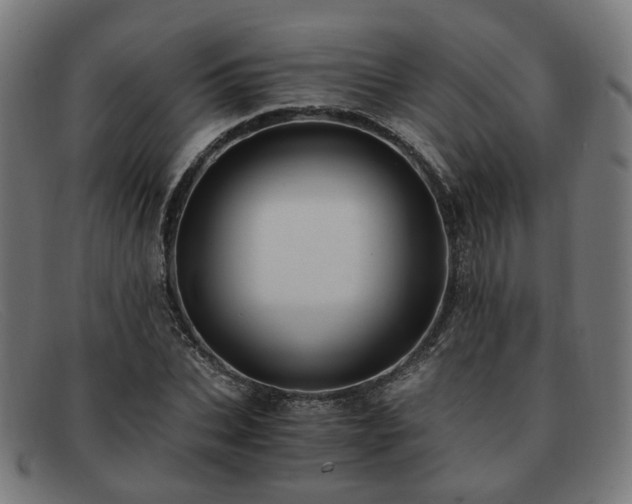 X0000091900927200709121456