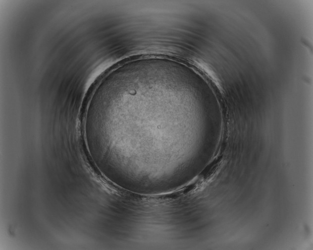 X0000091900928200709121456