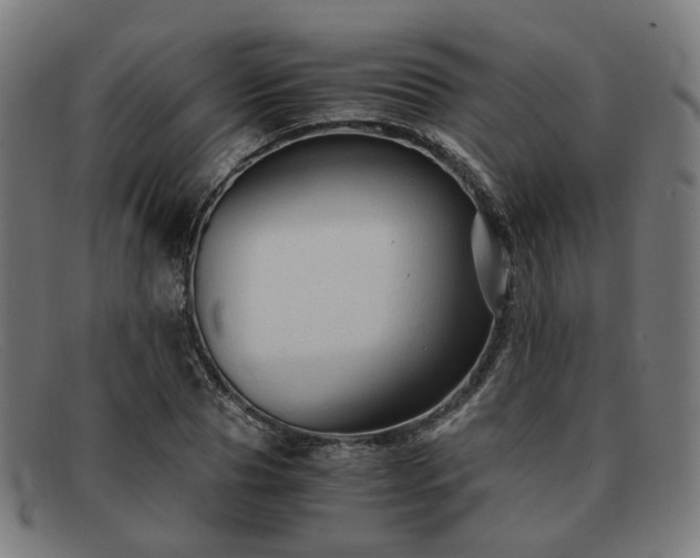 X0000091900929200709121456