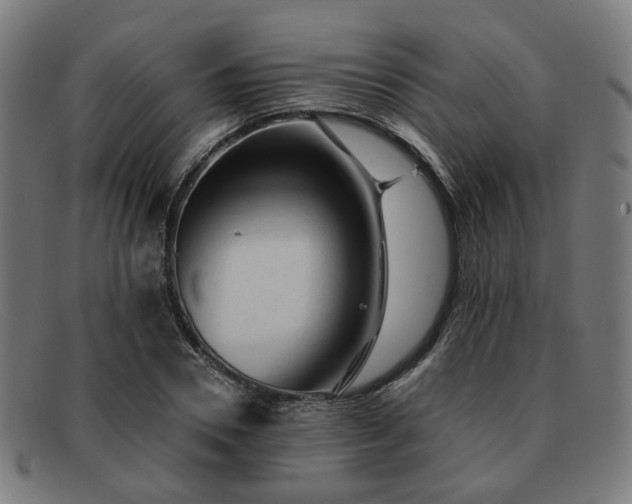 X0000091900930200709121456