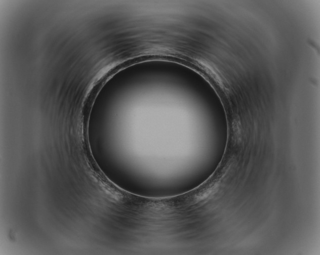 X0000091900931200709121456