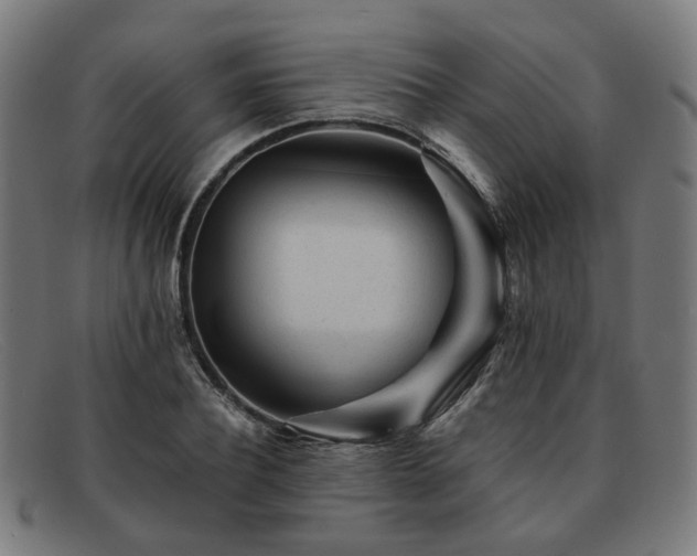 X0000091900932200709121456