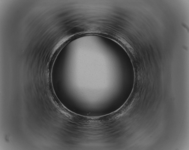 X0000091900933200709121456