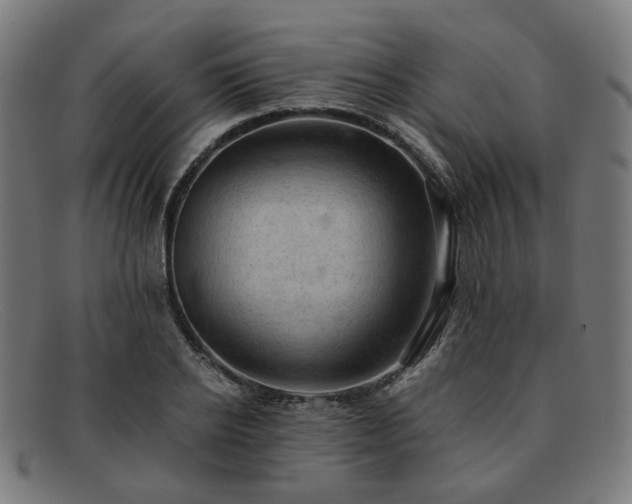 X0000091900934200709121456