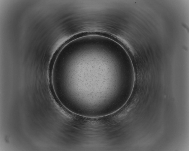 X0000091900935200709121456