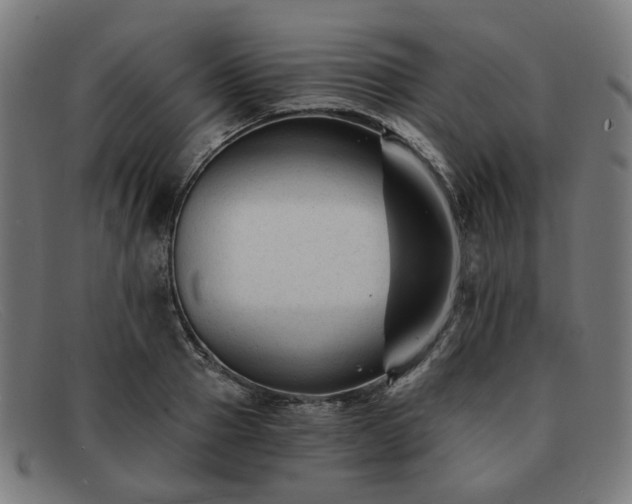 X0000091900937200709121456