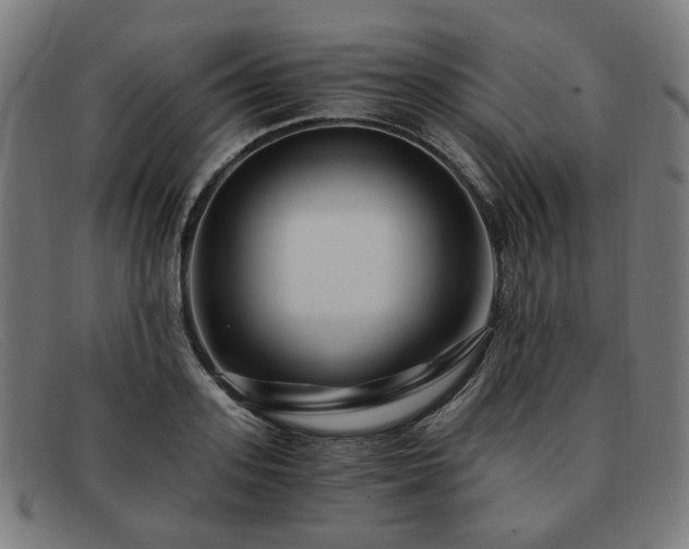 X0000091900939200709121456