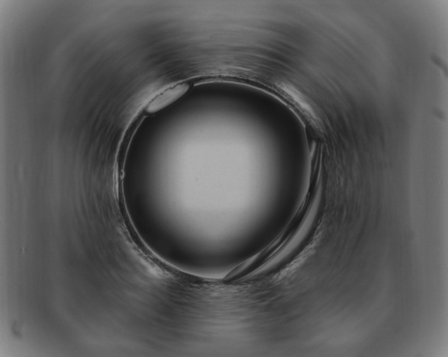 X0000091900940200709121456