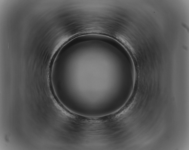 X0000091900941200709121456