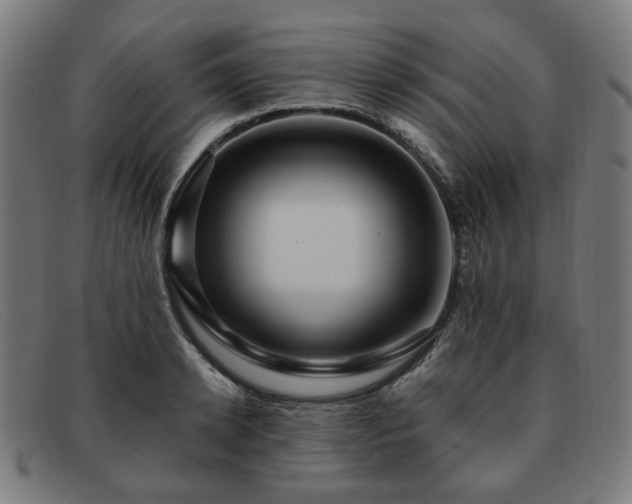 X0000091900942200709121456