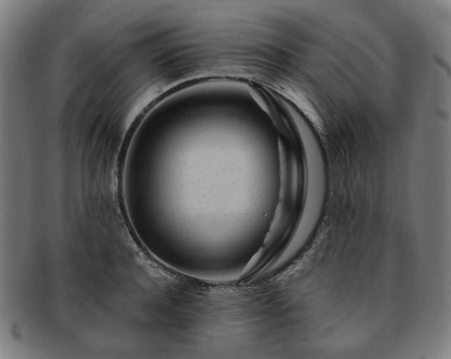 X0000091900944200709121456