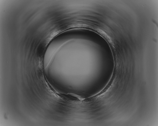 X0000091900945200709121456