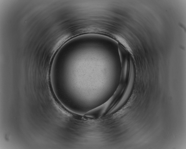 X0000091900946200709121456