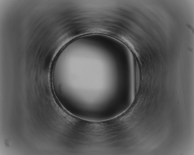 X0000091900947200709121456