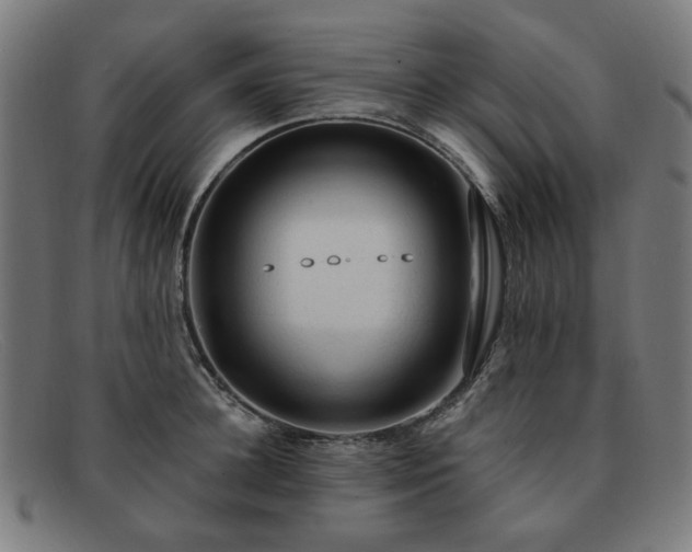 X0000091900948200709121456