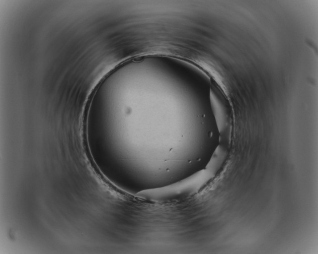 X0000091900949200709121456