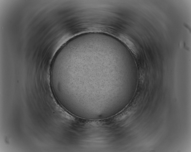 X0000091900950200709121456