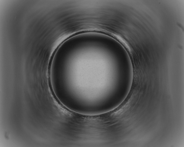 X0000091900951200709121456