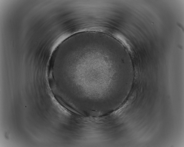 X0000091900952200709121456