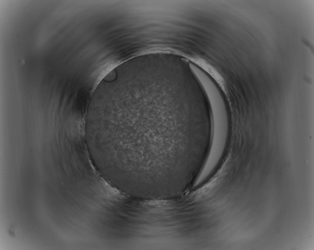 X0000091900953200709121456