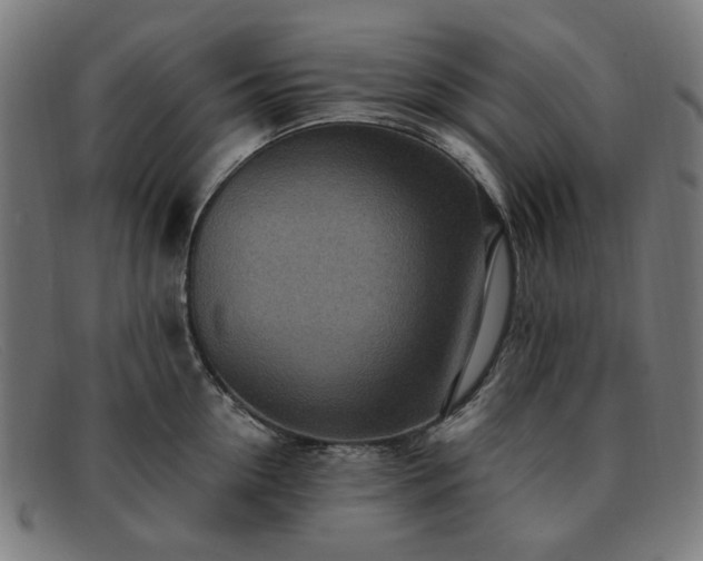 X0000091900954200709121456