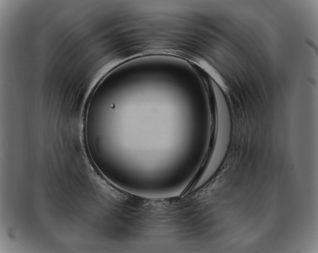 X0000091900955200709121456