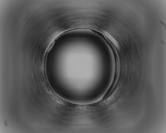 X0000091900956200709121456