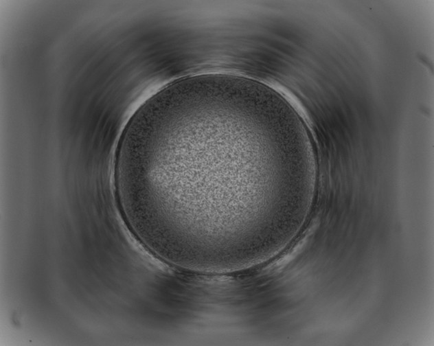 X0000091900957200709121456