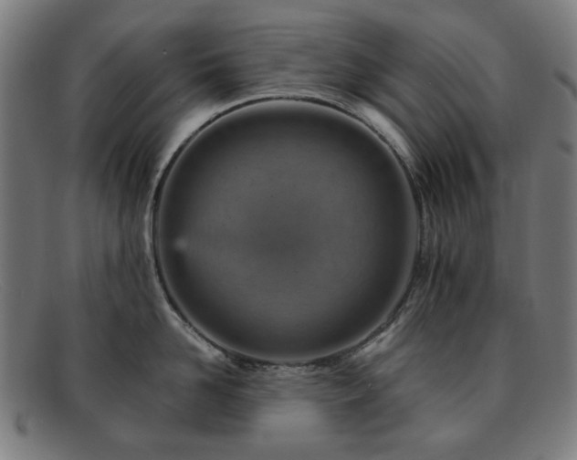 X0000091900958200709121456