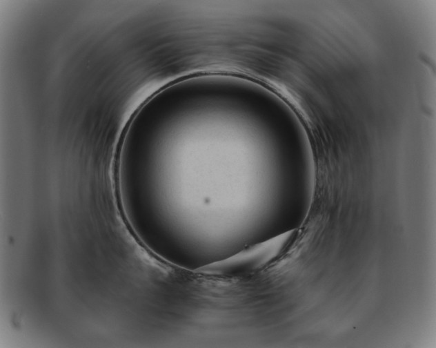 X0000091900959200709121456