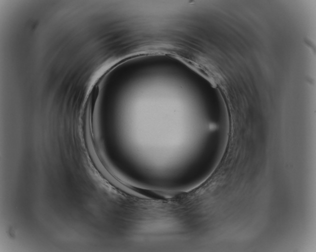 X0000091900960200709121456