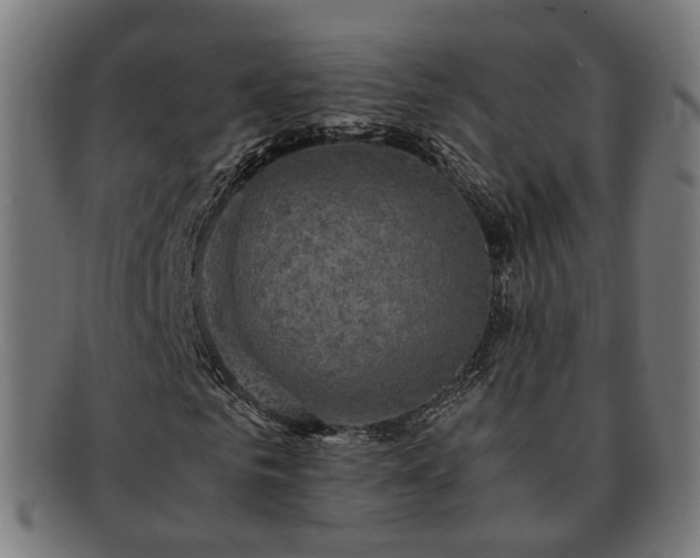 X0000091900961200709121456