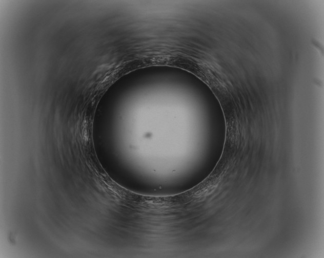 X0000091900962200709121456