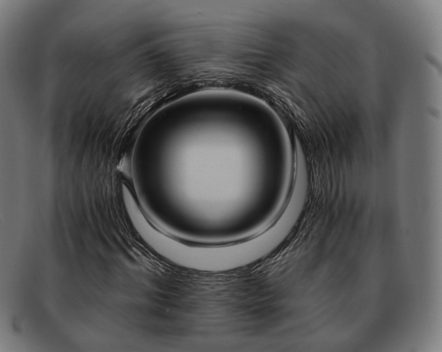 X0000091900964200709121456