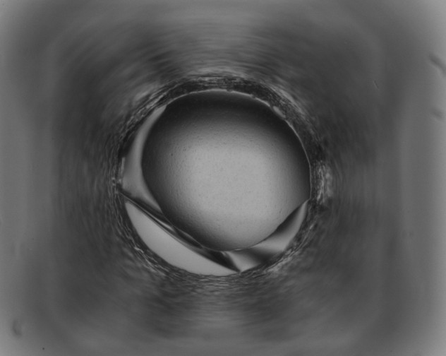 X0000091900965200709121456