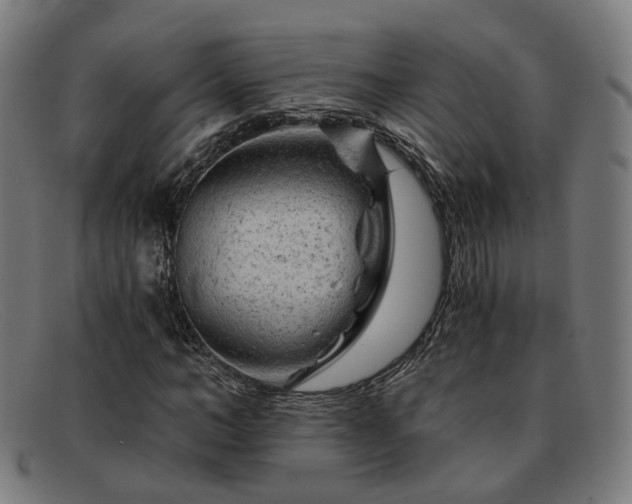 X0000091900966200709121456