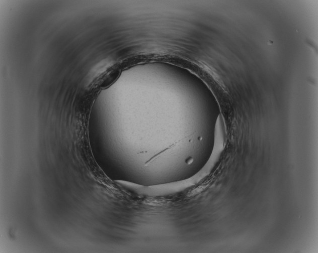 X0000091900967200709121456