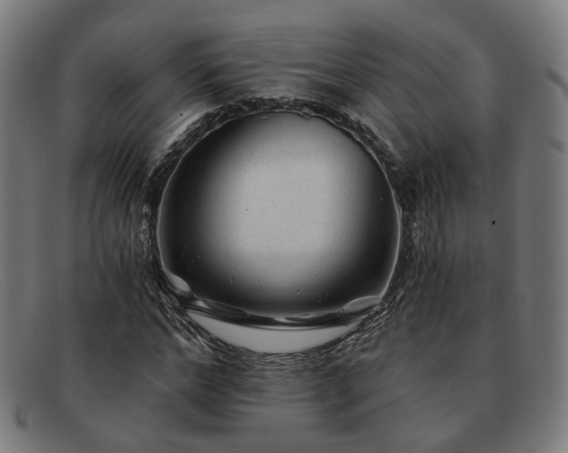 X0000091900968200709121456