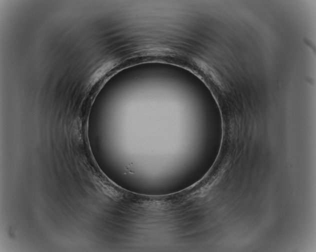 X0000091900970200709121456