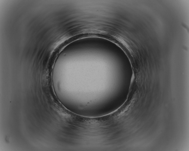 X0000091900971200709121456