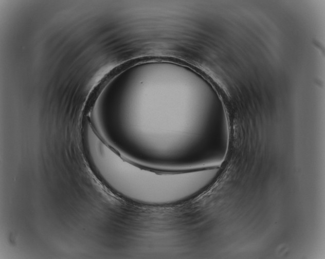 X0000091900972200709121456