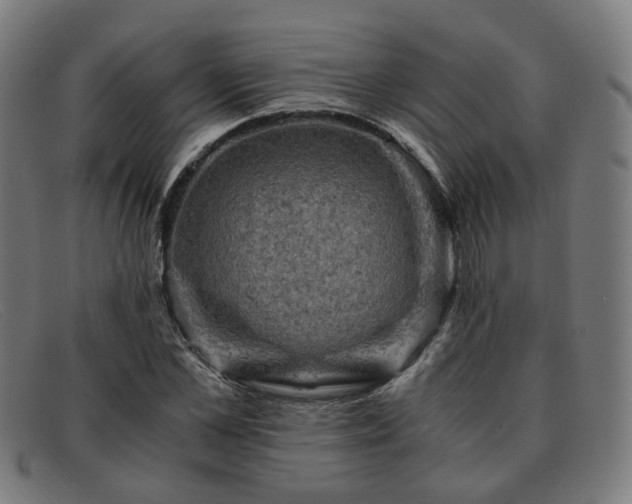 X0000091900973200709121456