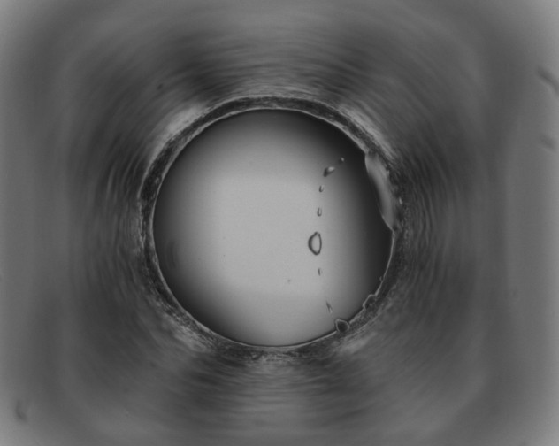 X0000091900974200709121456