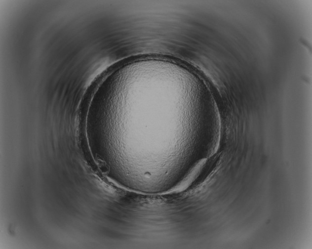 X0000091900975200709121456